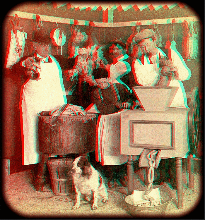 stereoscopy