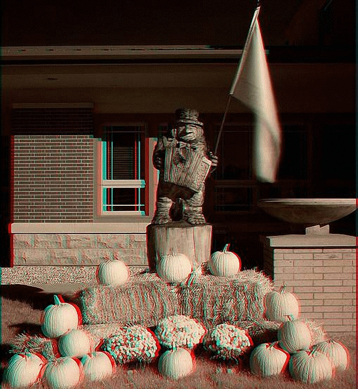 stereoscopy