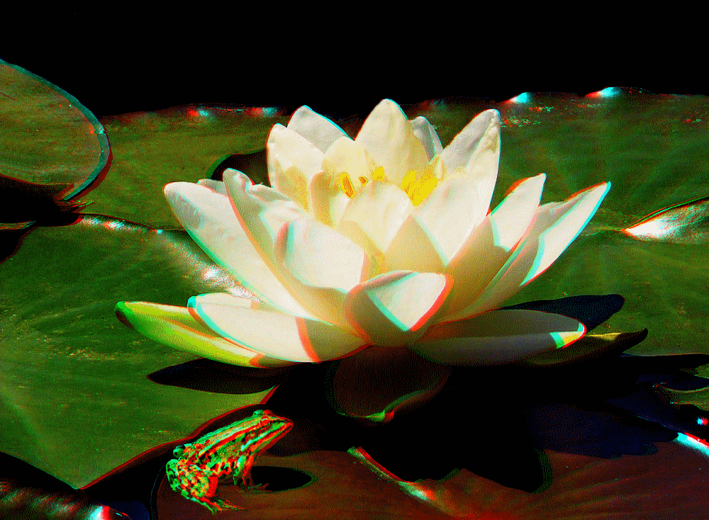 flower_blume_fleur_flor_3d