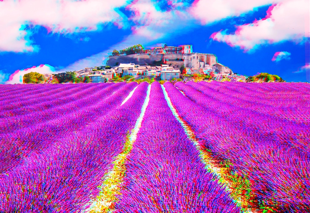 lavande_midi_paca_3d